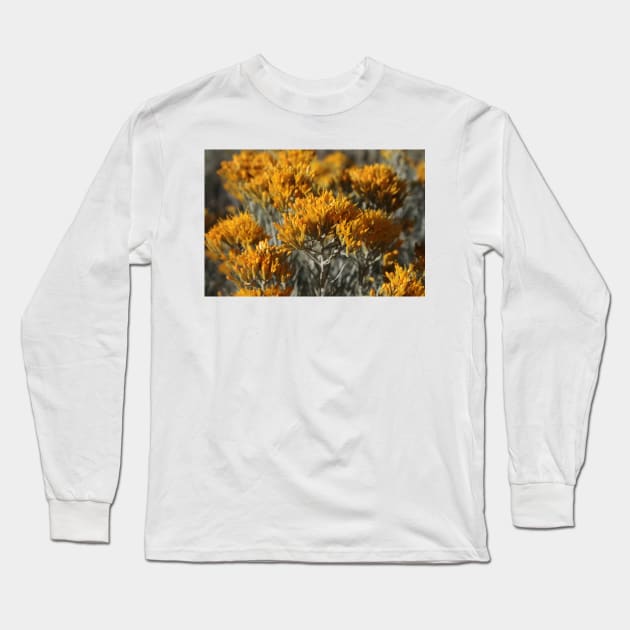 Sage in Bloom Long Sleeve T-Shirt by Rob Johnson Photography